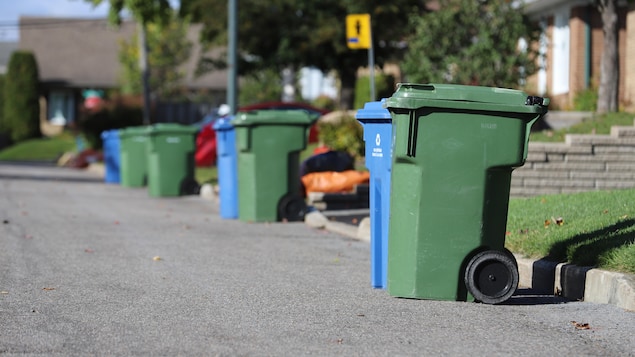 Des bacs à ordures et à recyclage le long d'un trottoir.