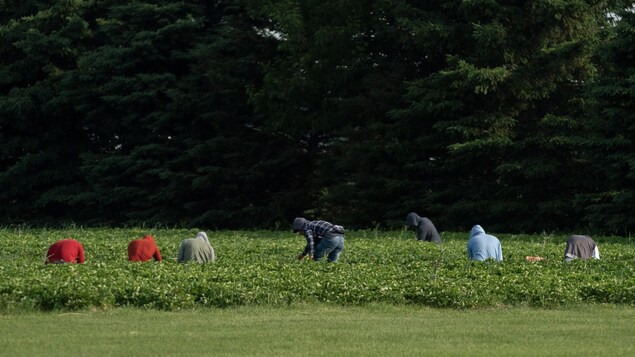 Closed work permits create fertile ground for slavery