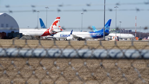 Transat Aura Besoin D Argent Si Elle Ne Passe Pas Sous L Aile D Air Canada Radio Canada Ca