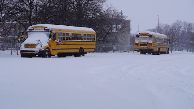 Des autobus scolaire ensevelis de neige.