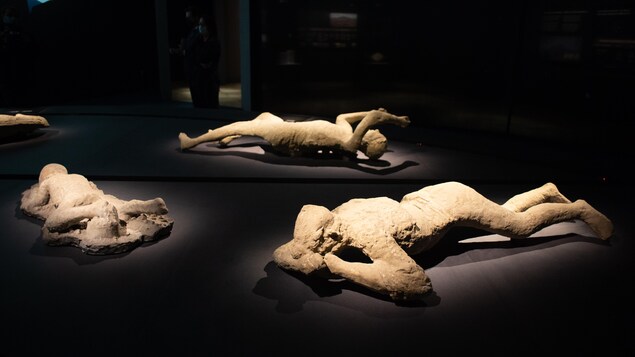 L’exposition Pompéi. Cité immortelle en images