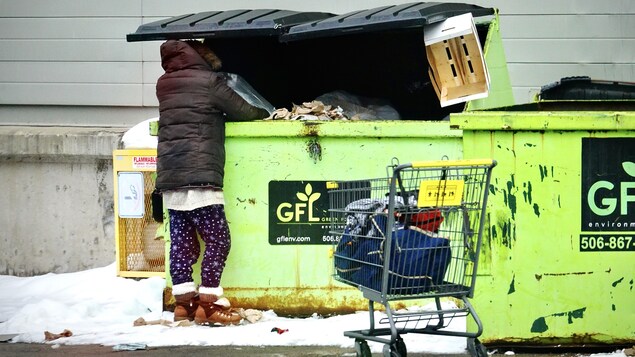 Une femme fouille dans un conteneur à déchets le 14 janvier 2021 à Moncton au Nouveau-Brunswick.