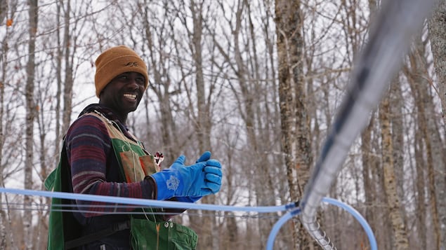 Du Congo au Témiscouata, Hardy s’enracine un érable à la fois