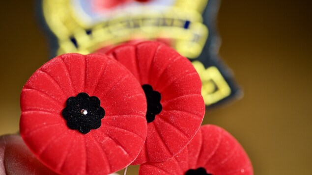 Plan rapproche d'épinglettes en forme de coquelicots.