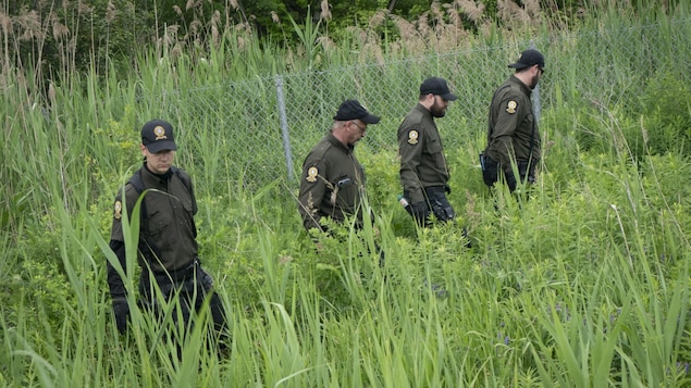 Des policiers de la SQ ratissent boisés et terrains agricoles en Montérégie.