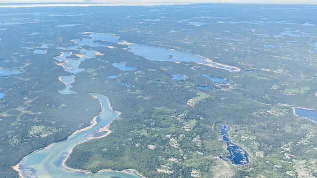 Un paisaje boreal visto desde el aire con ríos que serpentean por la tierra.
