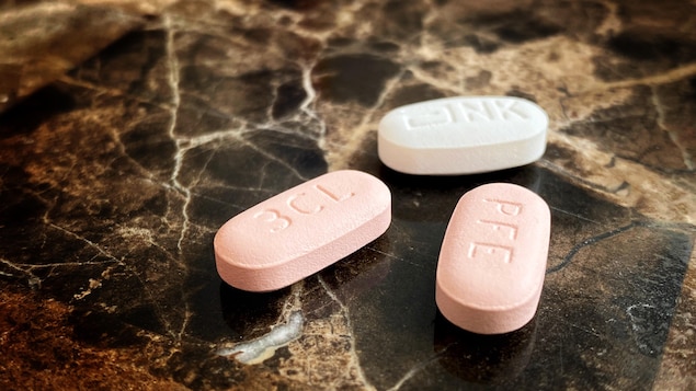La pilule anti-COVID de plus en plus utilisée au Nouveau-Brunswick