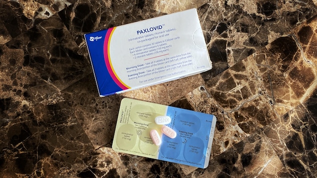 Les pharmaciens en Atlantique devraient-ils pouvoir prescrire le Paxlovid?