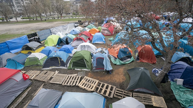 Des dizaines de tentes formant un campement sur un campus.