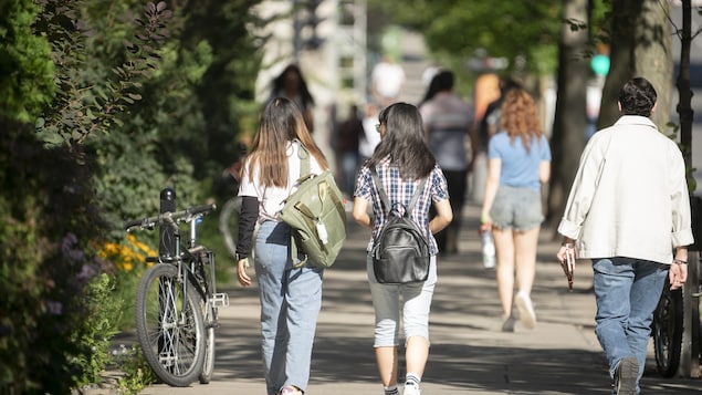 麦吉尔大学叫停法语教学项目，以回应魁北克省提高外省外国学生学费