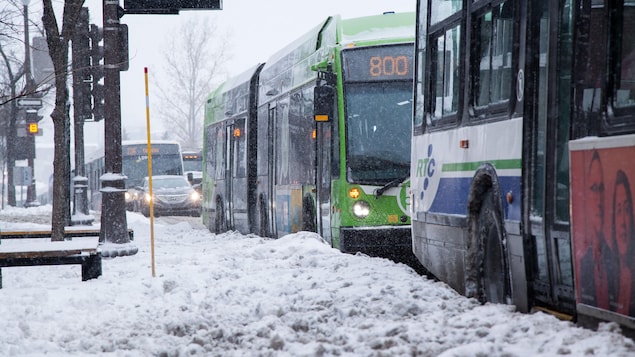 Des autobus du RTC dans le trafique.