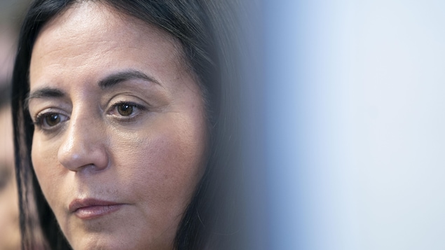 SPVM : le conjoint de Martinez Ferrada interpellé à répétition « juste pour vérifier »
