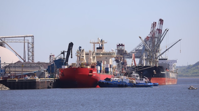 Des navires industriels accostés près d'installations portuaires.