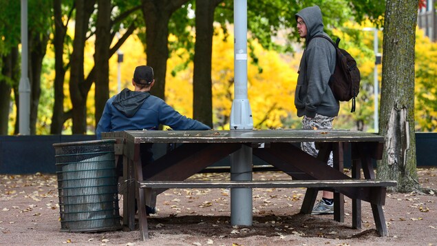 Jeunes dans un parc.