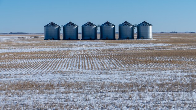 Des silos à grains dans un champ recouvert de neige près de Regina, en Saskatchewan, en novembre 2023.