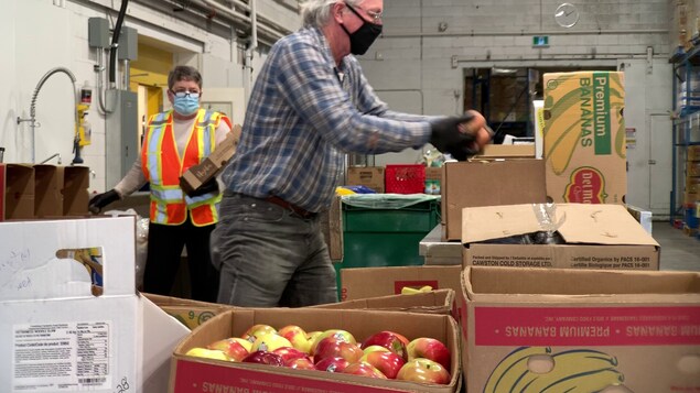 Des bénévoles trient des fruits donnés par des épiceries.