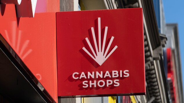 Des détaillants torontois de cannabis veulent pouvoir exposer leurs produits en vitrine