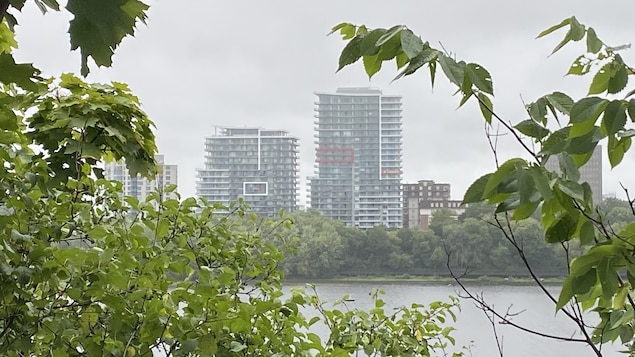 La rivière des Outaouais.