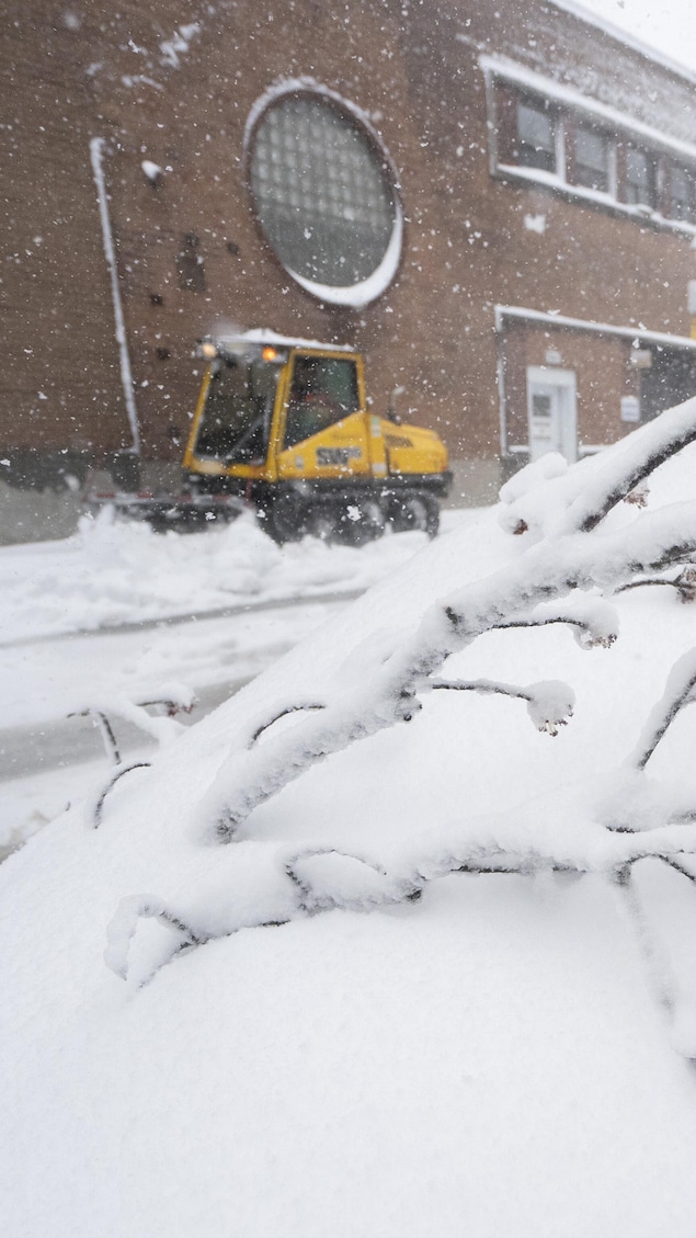 Une tempête en avril après un hiver (presque) sans neige