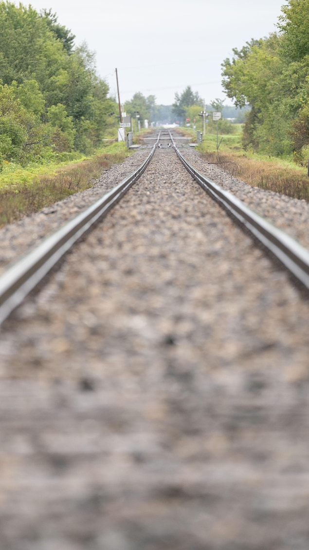 Des rails de chemin de fer qui défilent vers l'horizon.