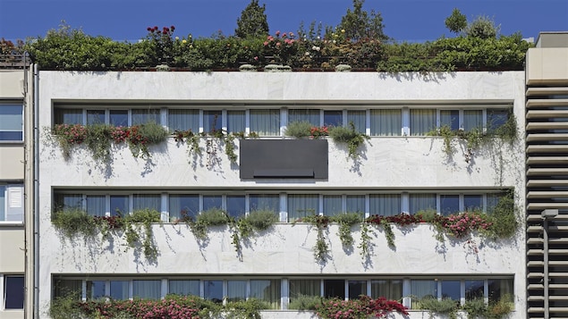 De la verdure pour rafraîchir un édifice urbain