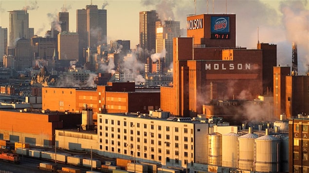 La brasserie Molson à Montréal