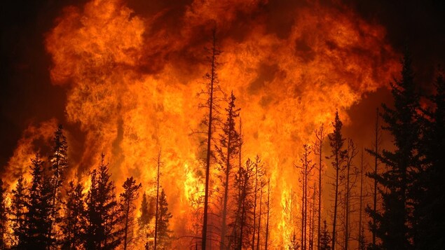 Une forêt flambe à la suite d'un incendie contrôlé allumé par Sustainable Resource Alberta en 2009.