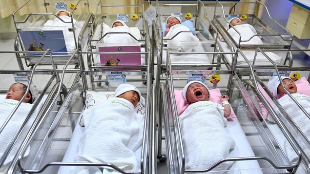 Des nouveau-nés dans un service de maternité d'un hôpital de Tambak, à Jakarta.