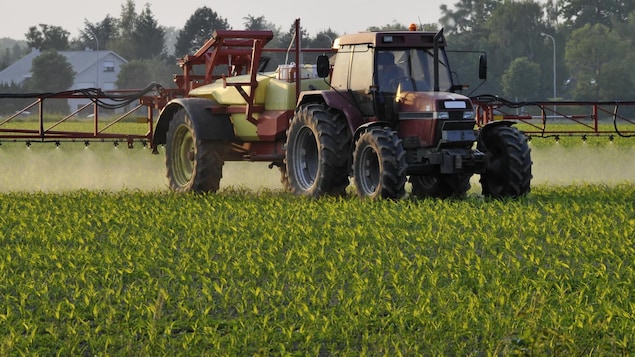 Un tracteur épand des pesticides dans un champ. 