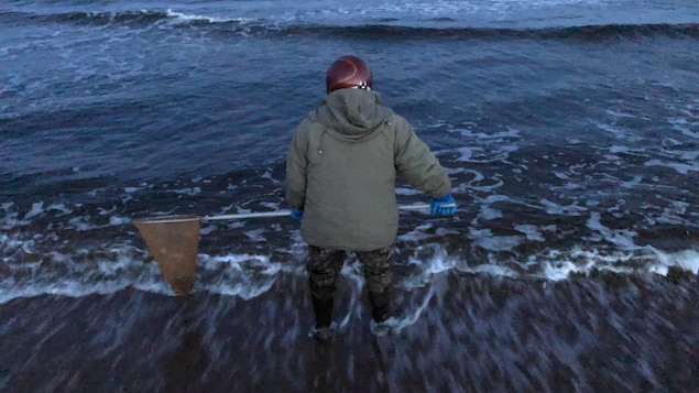 Le pêcheur à l'oeuvre