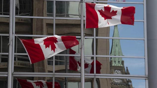 Des drapeaux canadiens près de la colline du Parlement, à Ottawa.