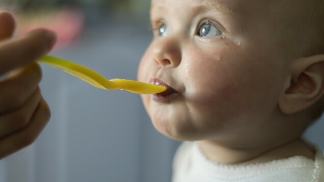 Un bébé mange sa purée