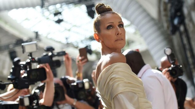 Céline Dion pose entourée de photographes.