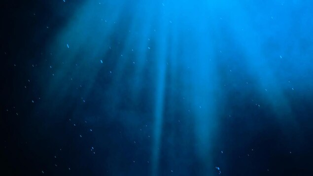 Les rayons de lumière traversent le fond de l'eau. 