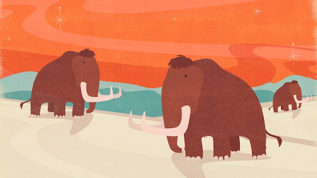 L'illustration montre trois mammouths parcourant un sol blanc. En arrière-plan, on voit une chaîne de montagnes. 