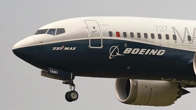 A Boeing 737 Max flies in the sky.