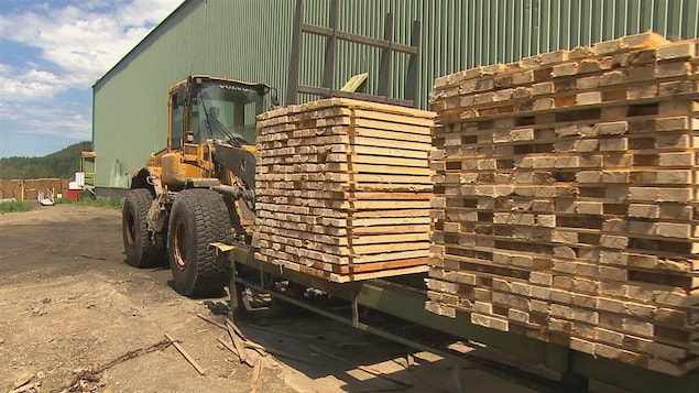 Une usine de bois d'oeuvre