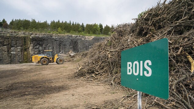 Des milliers de branches sont tassées par une chargeuse sur pneus munie d'une benne dans une carrière.