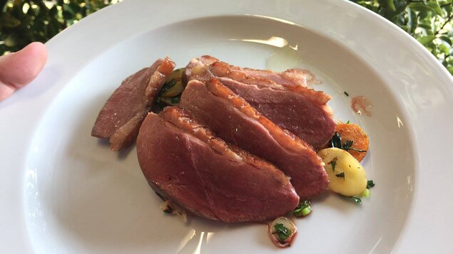 Magret de canard du Perigord, accompagné de légumes racine dans une assiette blanche.