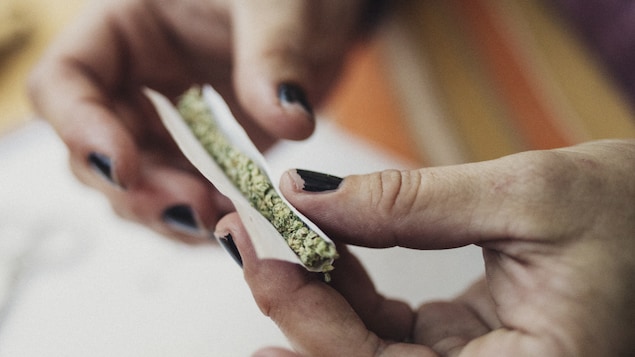 Mains d'une femme qui roule une cigarette de marijuana.