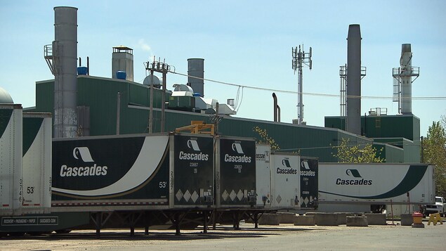 Des remorques pour des camions de livraison de la compagnie Cascades devant une usine.