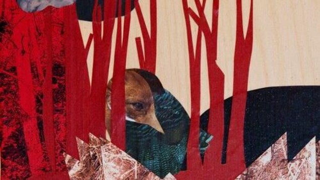 un collage artistique représentant un paysage de forêt avec un oeil d'animal