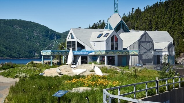 Le Centre d'interprétation des mammifères marins de Tadoussac
