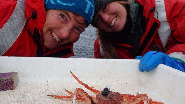 Deux femmes souriant, devant un crabe des neiges, sur un bateau.