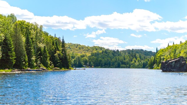 Un forêt entoure un lac sous un ciel bleu.