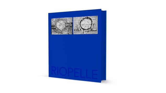 Un livre bleu avec le titre Riopelle