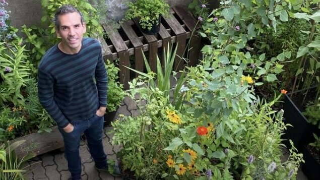 Rémi Froment dans son jardin au centre-ville de Montréal