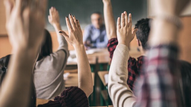 Des élèves photographiés de dos dans une classe lèvent la main.