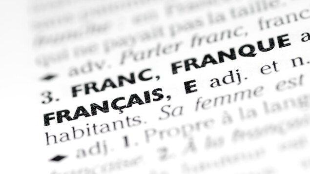 Une page d'un dictionnaire français ouvert sur le mot Franc, Franque, Français.