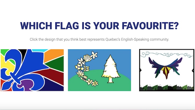 Capture d'écran d'un site Internet qui invite les gens à voter pour l'un des trois drapeaux proposés. Le premier présente une fleur de lys bleue sur fond multicolore; le deuxième montre un pin blanc et un croissant formé de fleurs de toutes sortes; et le troisième présente un emblème autochtone.
